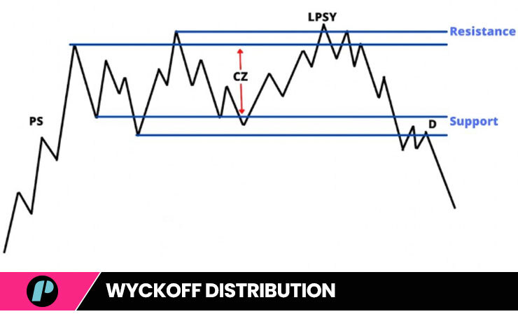 wyckoff method distribution